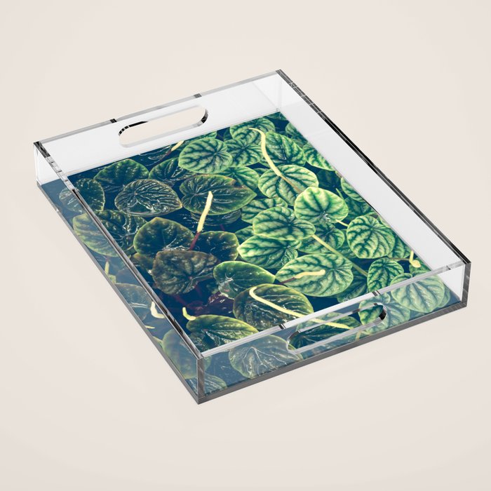 Green Leaves Acrylic Tray Gallery Image 1