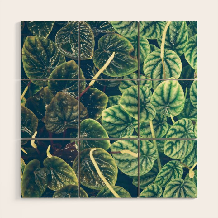 Green Leaves Wood Wall Art Gallery Image 1
