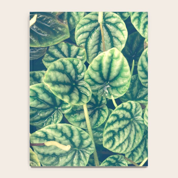 Green Leaves Notebook Gallery Image 4