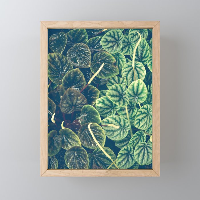 Green Leaves Mini Art Print Gallery Image 1