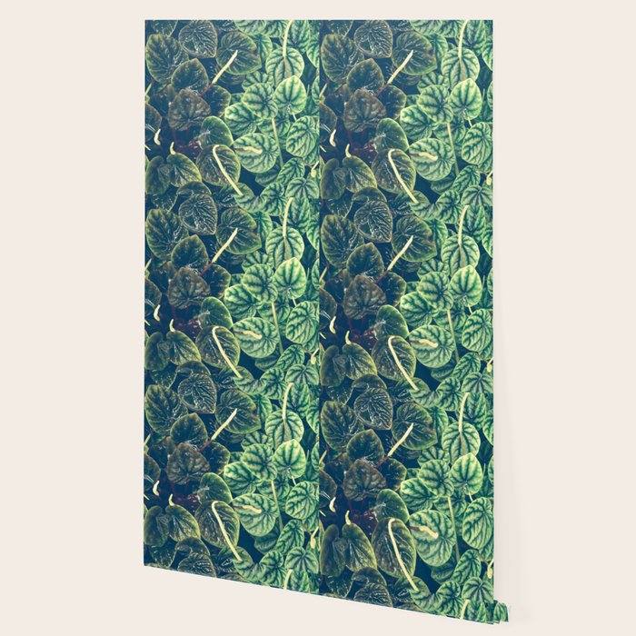 Green Leaves Wallpaper Gallery Image 2