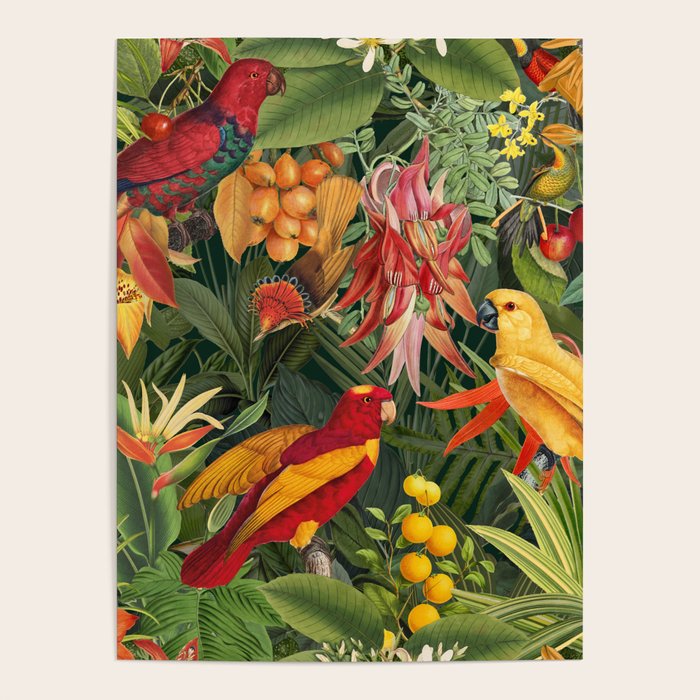 Midnight Jungle Parrots Tropical Paradise Poster Gallery Image 4