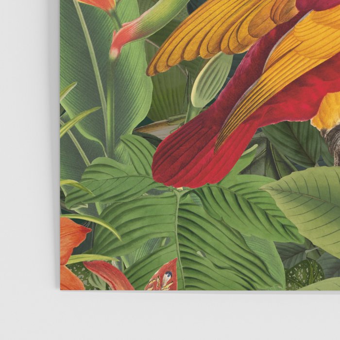 Midnight Jungle Parrots Tropical Paradise Poster Gallery Image 3