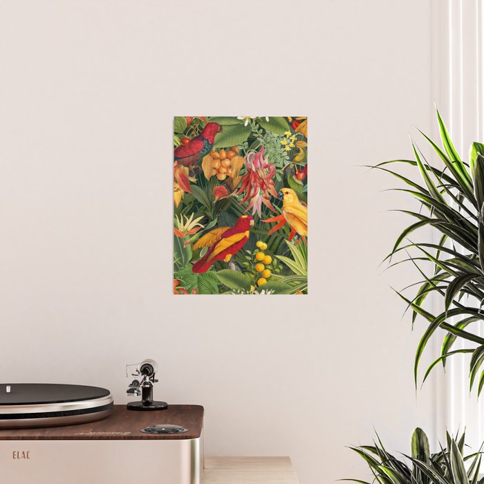Midnight Jungle Parrots Tropical Paradise Poster Gallery Image 2