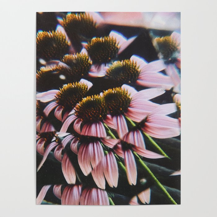 a dreamy summer solstice Poster Gallery Image 1