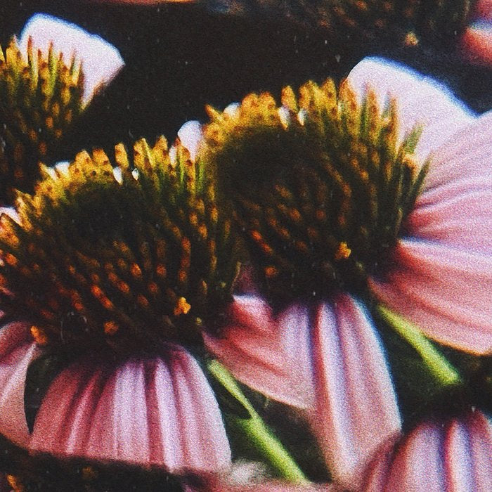 a dreamy summer solstice Coffee Mug Gallery Image 2