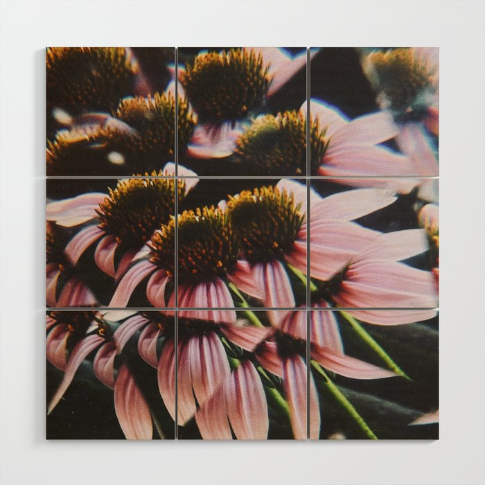 a dreamy summer solstice Wood Wall Art Gallery Image 1