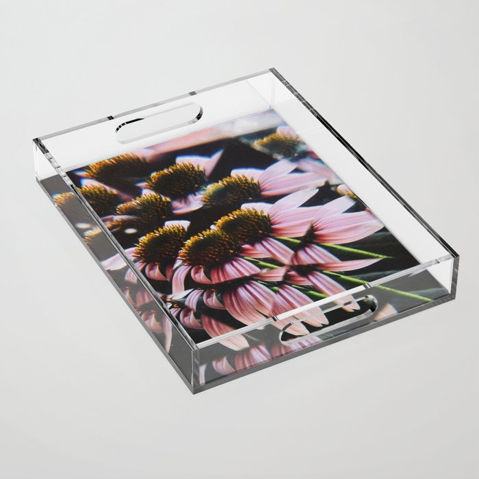 a dreamy summer solstice Acrylic Tray Gallery Image 1