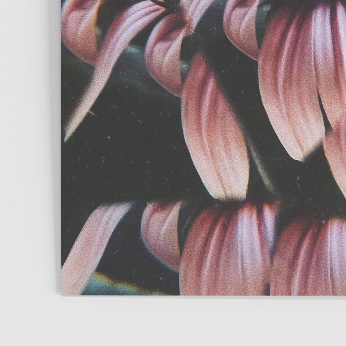 a dreamy summer solstice Poster Gallery Image 3