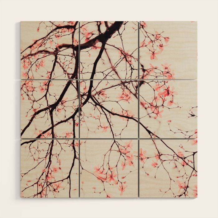 Magnolia Flowers - Pink spring blossoms Wood Wall Art Gallery Image 1