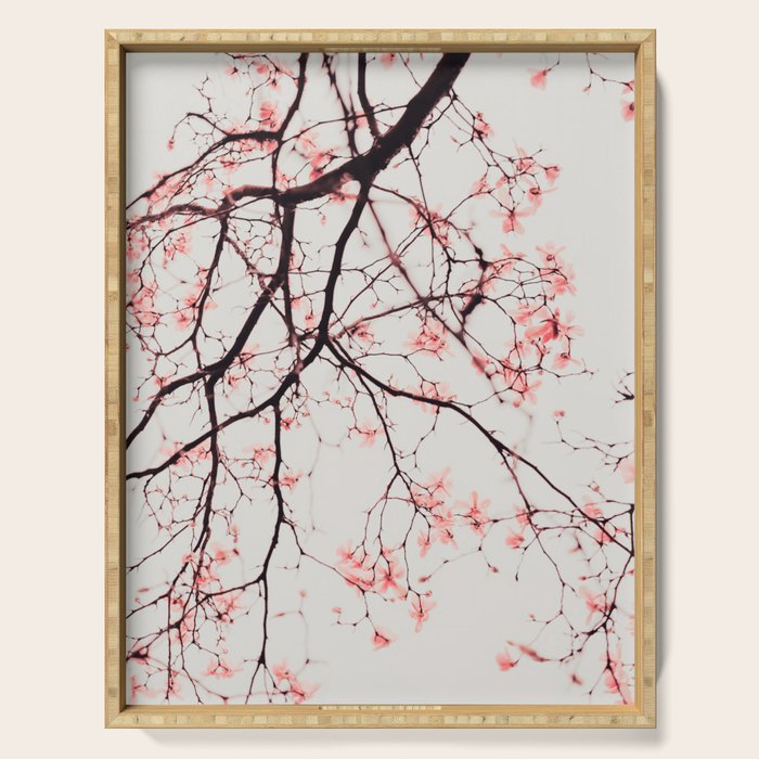 Magnolia Flowers - Pink spring blossoms Serving Tray Gallery Image 1
