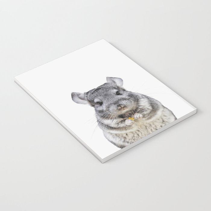Chinchilla Notebook Gallery Image 3