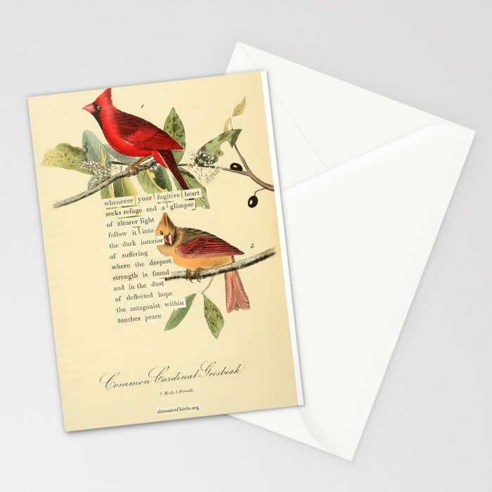 Bird Divinations: Cardinal (about: almanacofbirds.org) Stationery Card Gallery Image 2