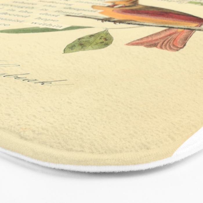 Bird Divinations: Cardinal (about: almanacofbirds.org) Bath Mat Gallery Image 3