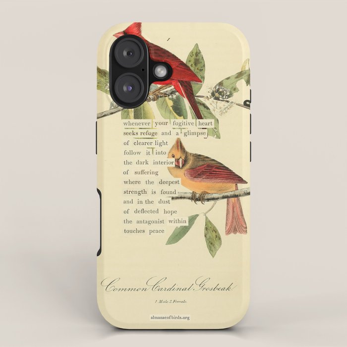 Bird Divinations: Cardinal (about: almanacofbirds.org) iPhone Case Gallery Image 1