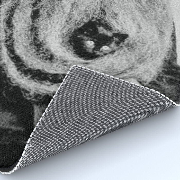 Kitten in the Beard of Old Man black and white photograph Rug Gallery Image 4
