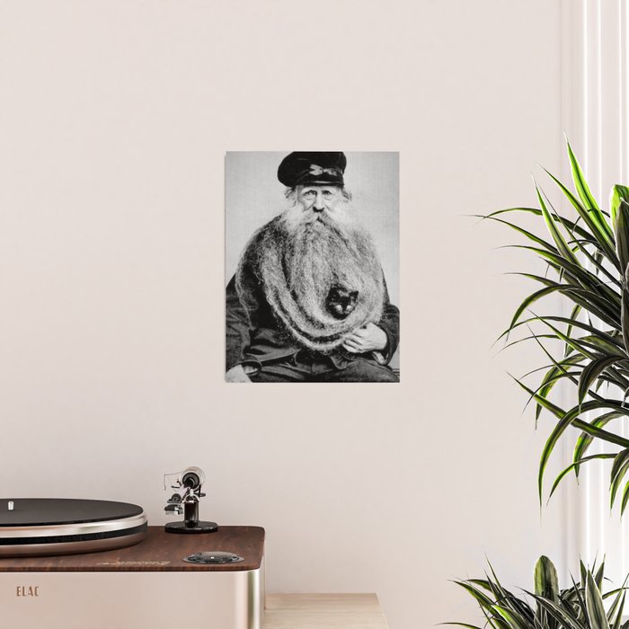 Kitten in the Beard of Old Man black and white photograph Poster Gallery Image 2