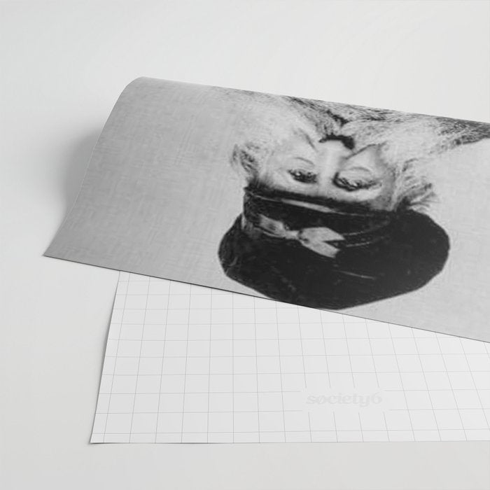 Kitten in the Beard of Old Man black and white photograph Wrapping Paper Gallery Image 2
