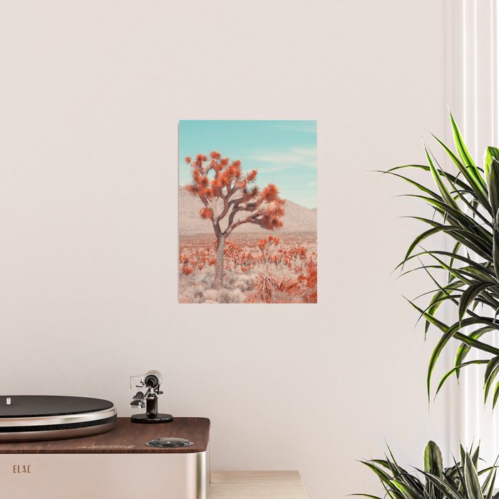Joshua Tree Colors Poster Gallery Image 2