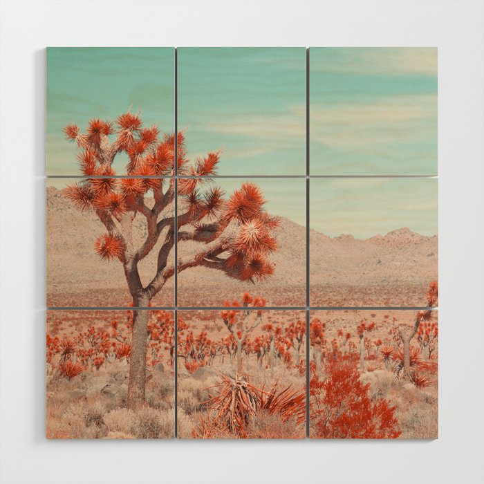 Joshua Tree Colors Wood Wall Art Gallery Image 1
