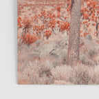 Joshua Tree Colors Poster Gallery Image 3