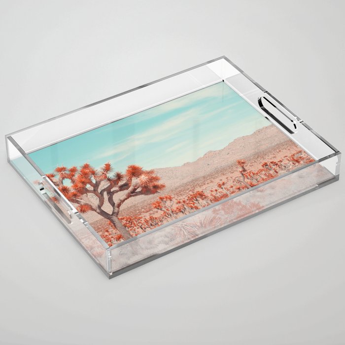 Joshua Tree Colors Acrylic Tray Gallery Image 1