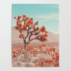 Joshua Tree Colors Poster Gallery Image 4