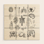 Human Anatomy Wood Wall Art Gallery Image 1
