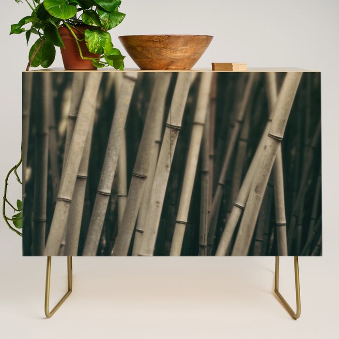 Bamboo Study 3 Credenza Gallery Image 1