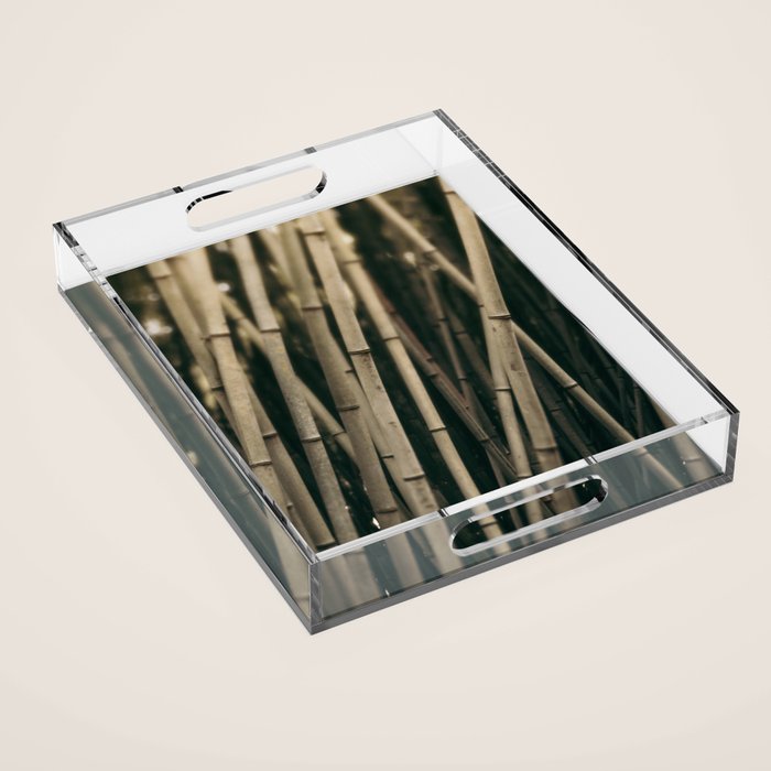 Bamboo Study 3 Acrylic Tray Gallery Image 1