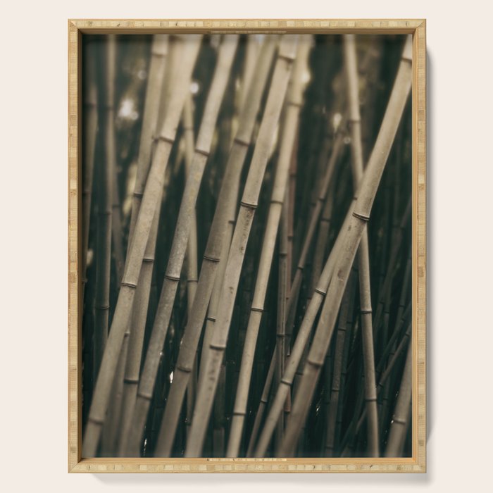Bamboo Study 3 Serving Tray Gallery Image 1