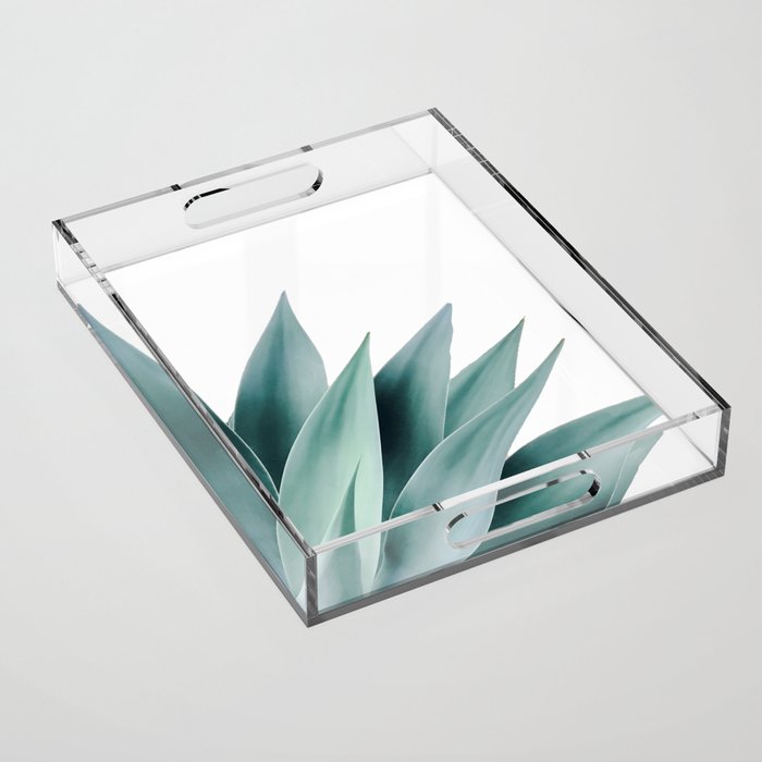 Agave flare II Acrylic Tray Gallery Image 1