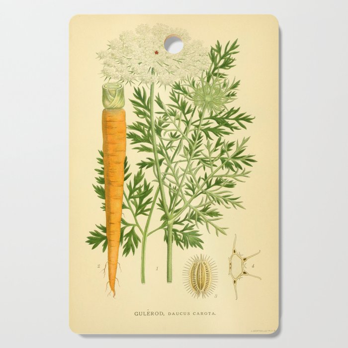Daucus carota (wild carrot, Queen Anne's Lace), 1917. Benefitting The Nature Conservancy Cutting Board Gallery Image 1