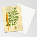 Daucus carota (wild carrot, Queen Anne's Lace), 1917. Benefitting The Nature Conservancy Stationery Card Gallery Image 2