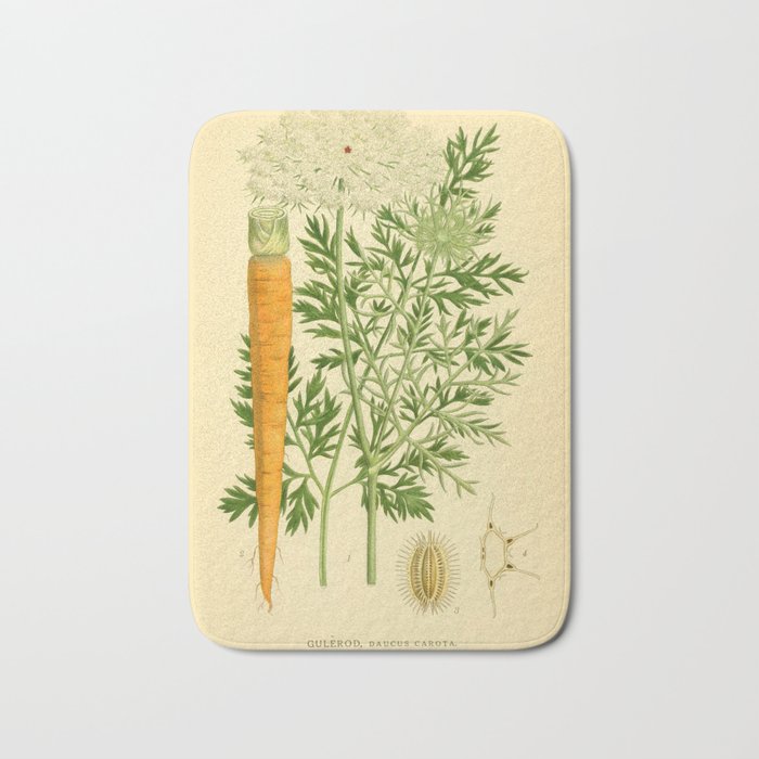 Daucus carota (wild carrot, Queen Anne's Lace), 1917. Benefitting The Nature Conservancy Bath Mat Gallery Image 1