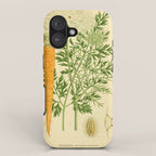 Daucus carota (wild carrot, Queen Anne's Lace), 1917. Benefitting The Nature Conservancy iPhone Case Gallery Image 1