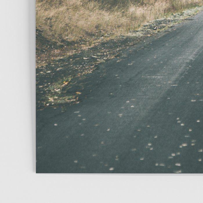 Autumn Drive Poster Gallery Image 3