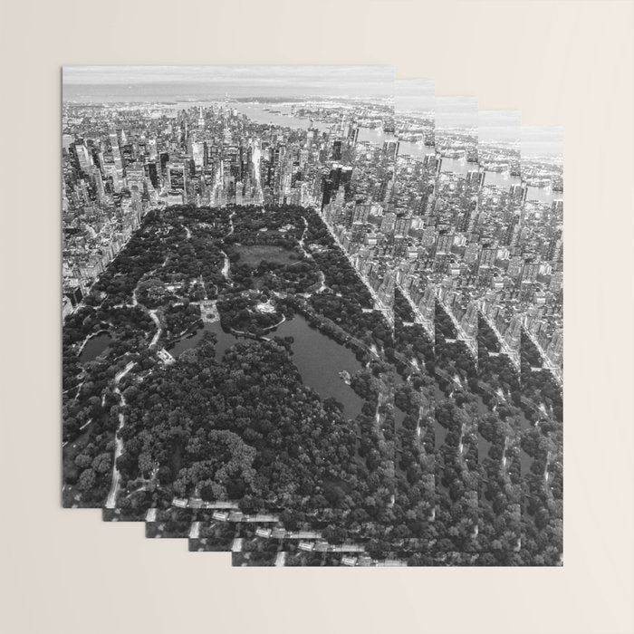Central Park New York Wrapping Paper Gallery Image 3
