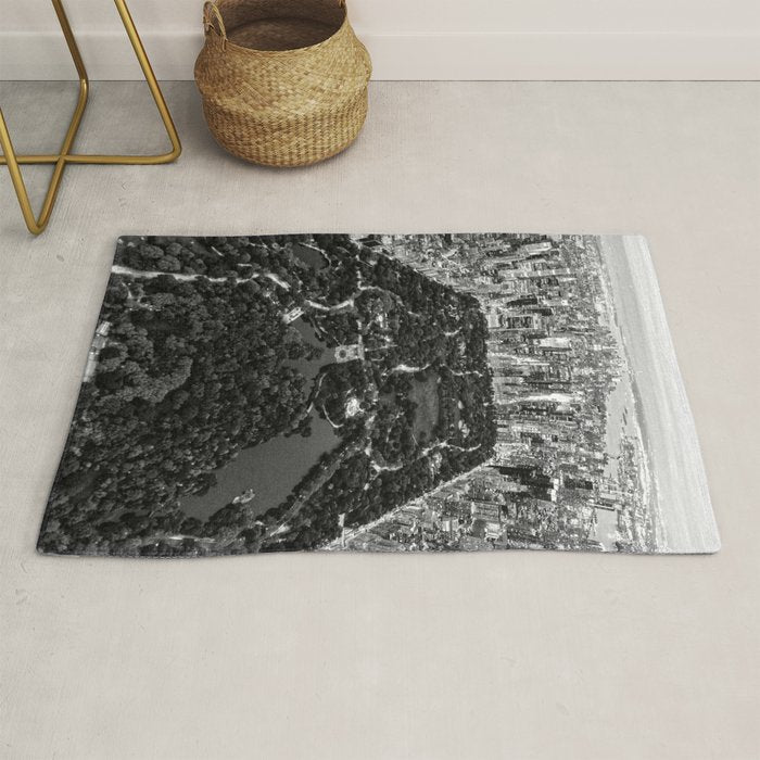 Central Park New York Rug Gallery Image 1