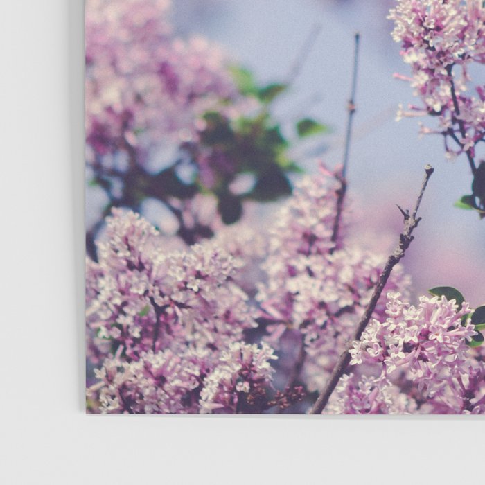 She Was an Introvert with a Beautiful Universe Inside Poster Gallery Image 3