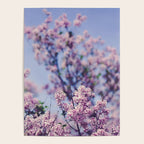 She Was an Introvert with a Beautiful Universe Inside Poster Gallery Image 4