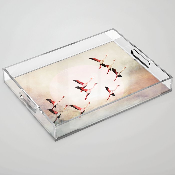 Flock of Flamingos Acrylic Tray Gallery Image 1