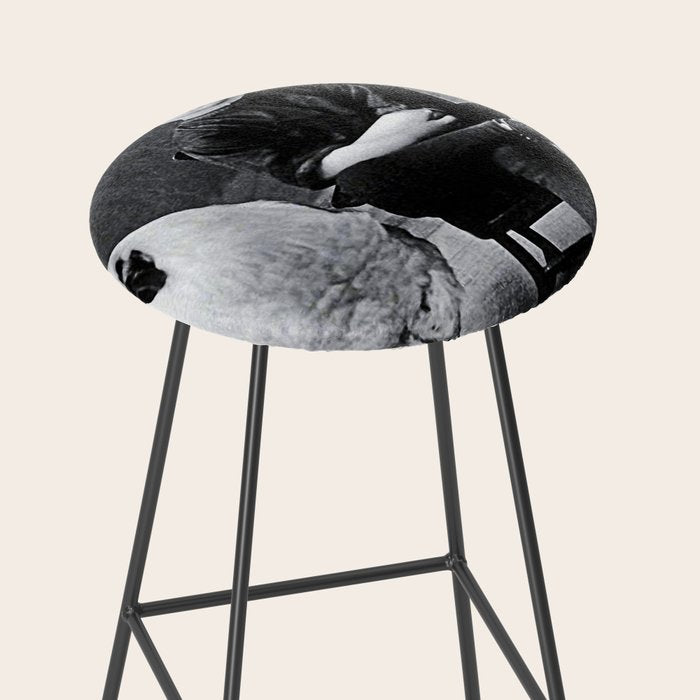 Smoking Boy with Chicken black and white photograph - photography - photographs Stool Gallery Image 2