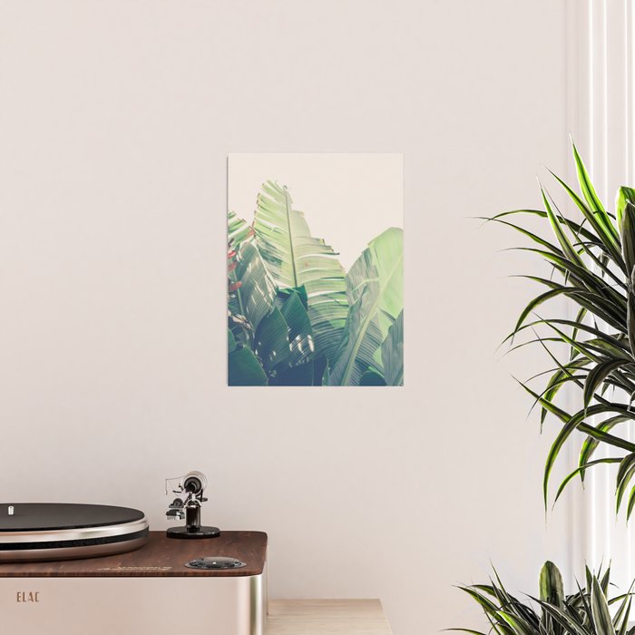 Diversity - tropical banana leaf photograph Poster Gallery Image 2