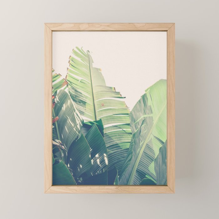 Diversity - tropical banana leaf photograph Mini Art Print Gallery Image 1