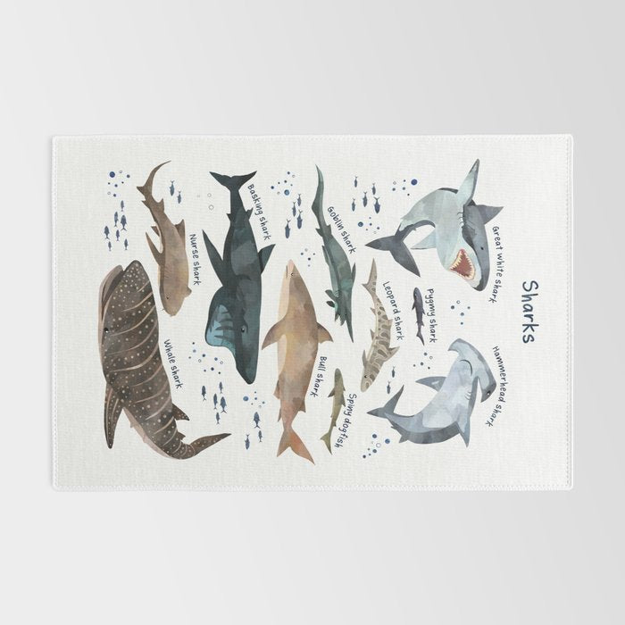 Sharks Rug Gallery Image 2