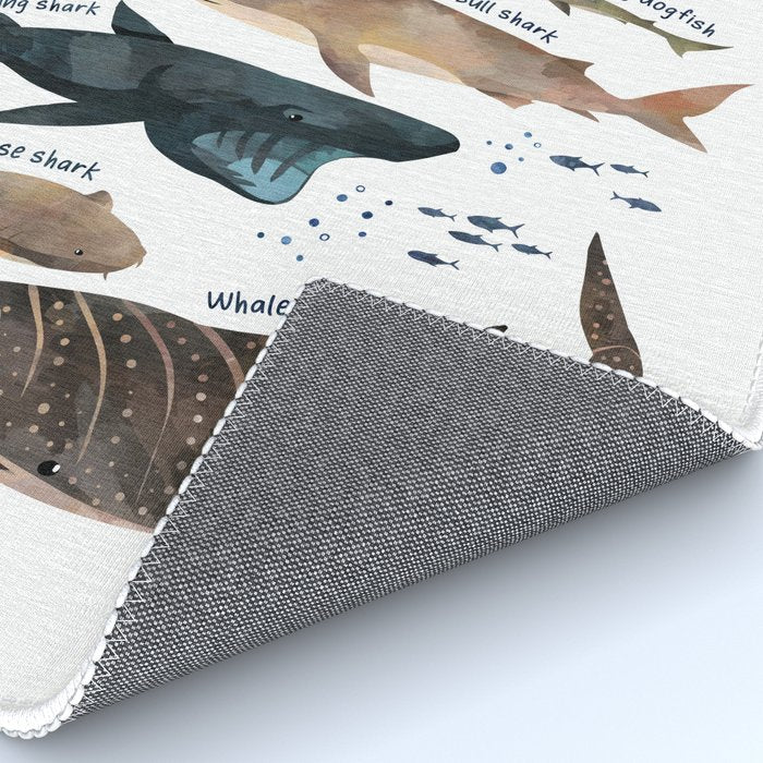 Sharks Rug Gallery Image 4