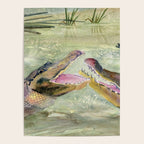 Alligator Study  Poster Gallery Image 4