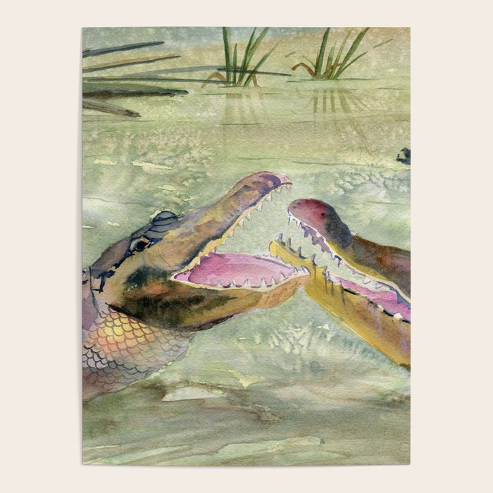 Alligator Study  Poster Gallery Image 1