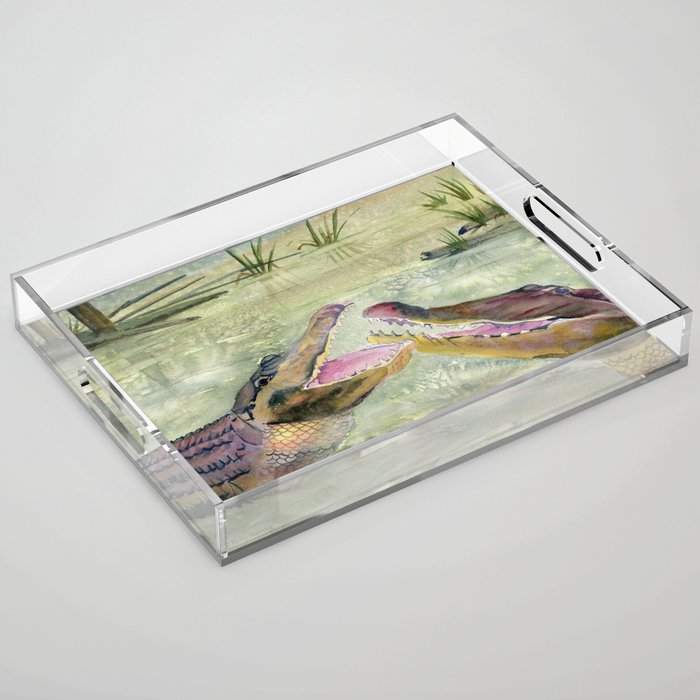 Alligator Study  Acrylic Tray Gallery Image 1